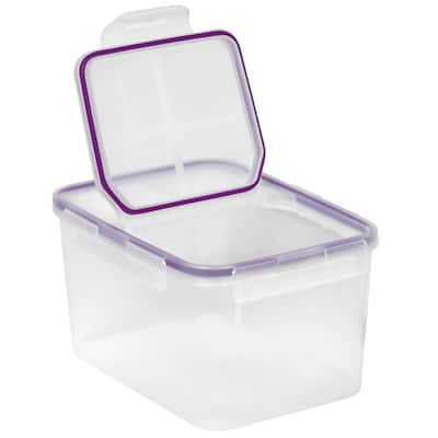 Snapware 10.8-cup Airtight Plastic Container