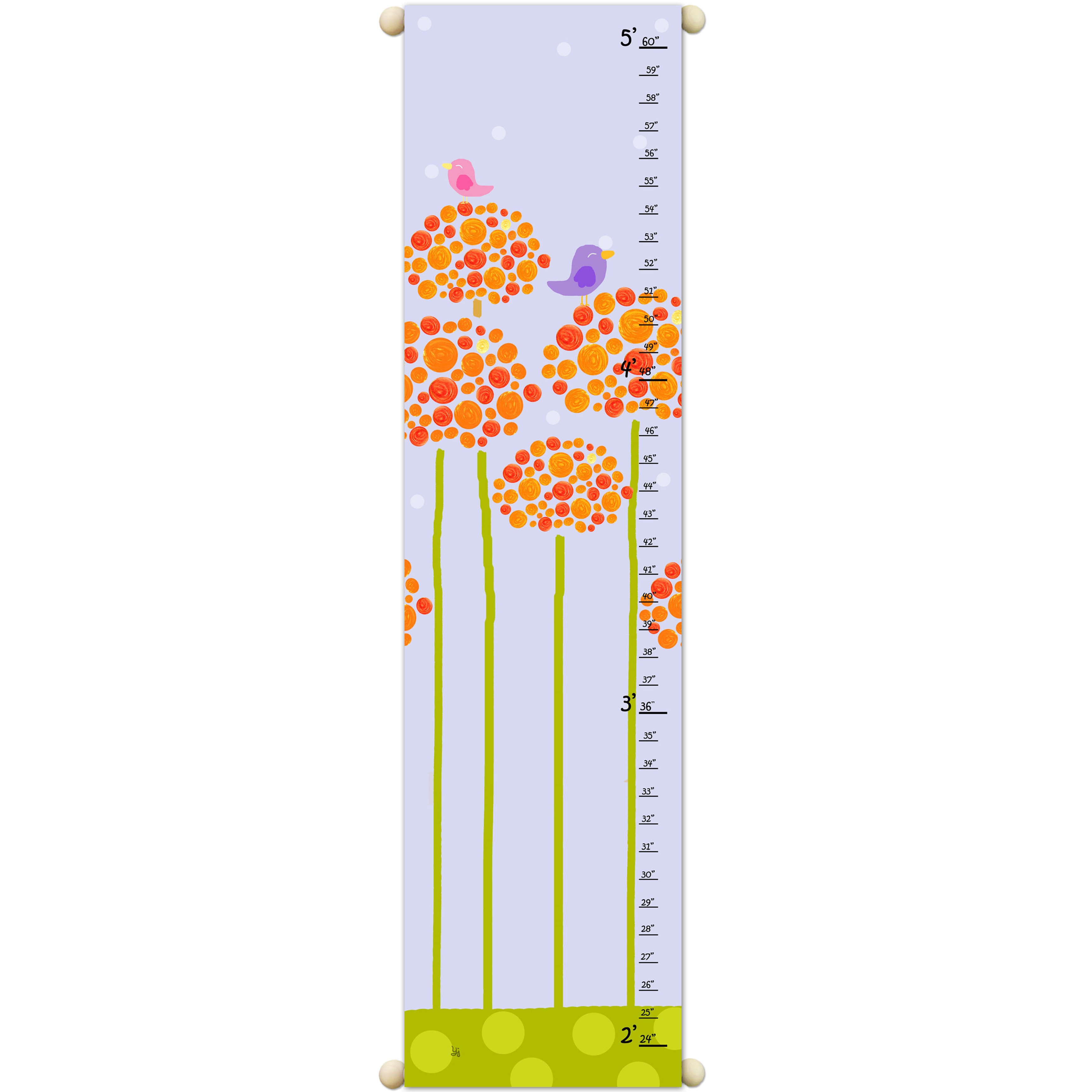 Orange Flowers Growth Chart