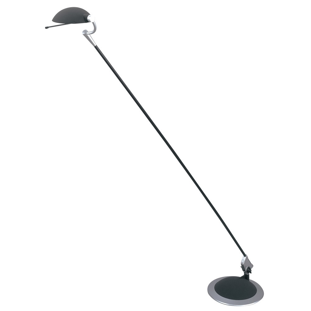 Braccino 1 light Black Floor Lamp