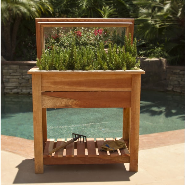 Shop Ra   ised Redwood 36-inch Grow Planter Box with Shelf 