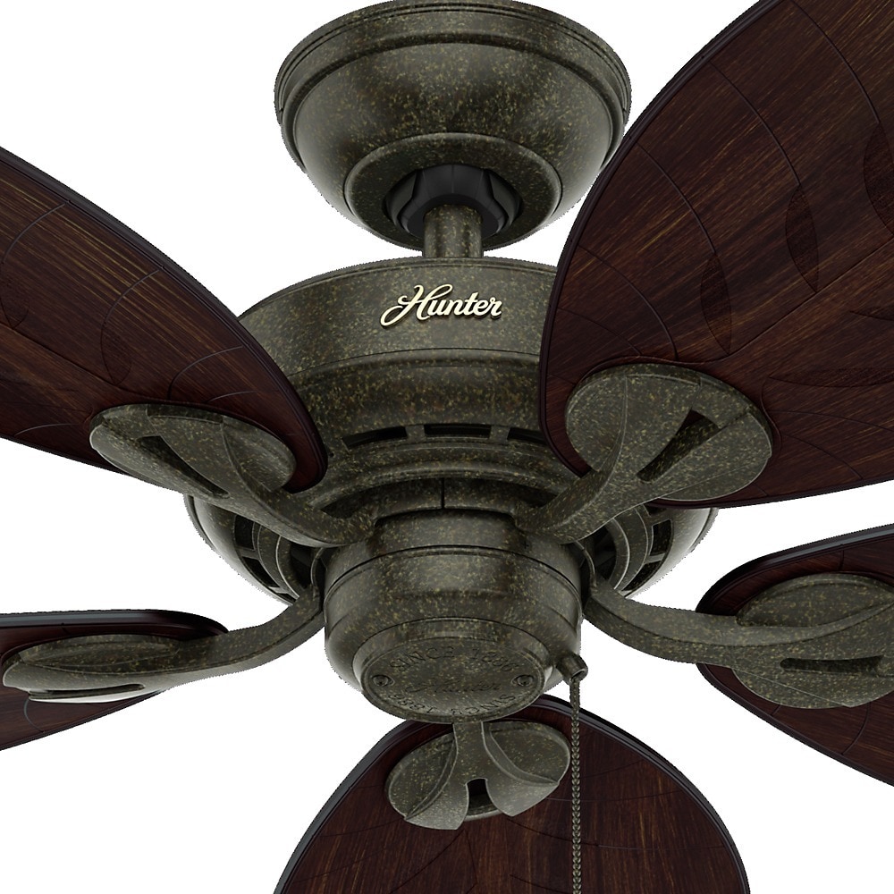 Shop Hunter Fan Bayview 54 Inch 5 Palm Leaf Blades Ceiling Fan