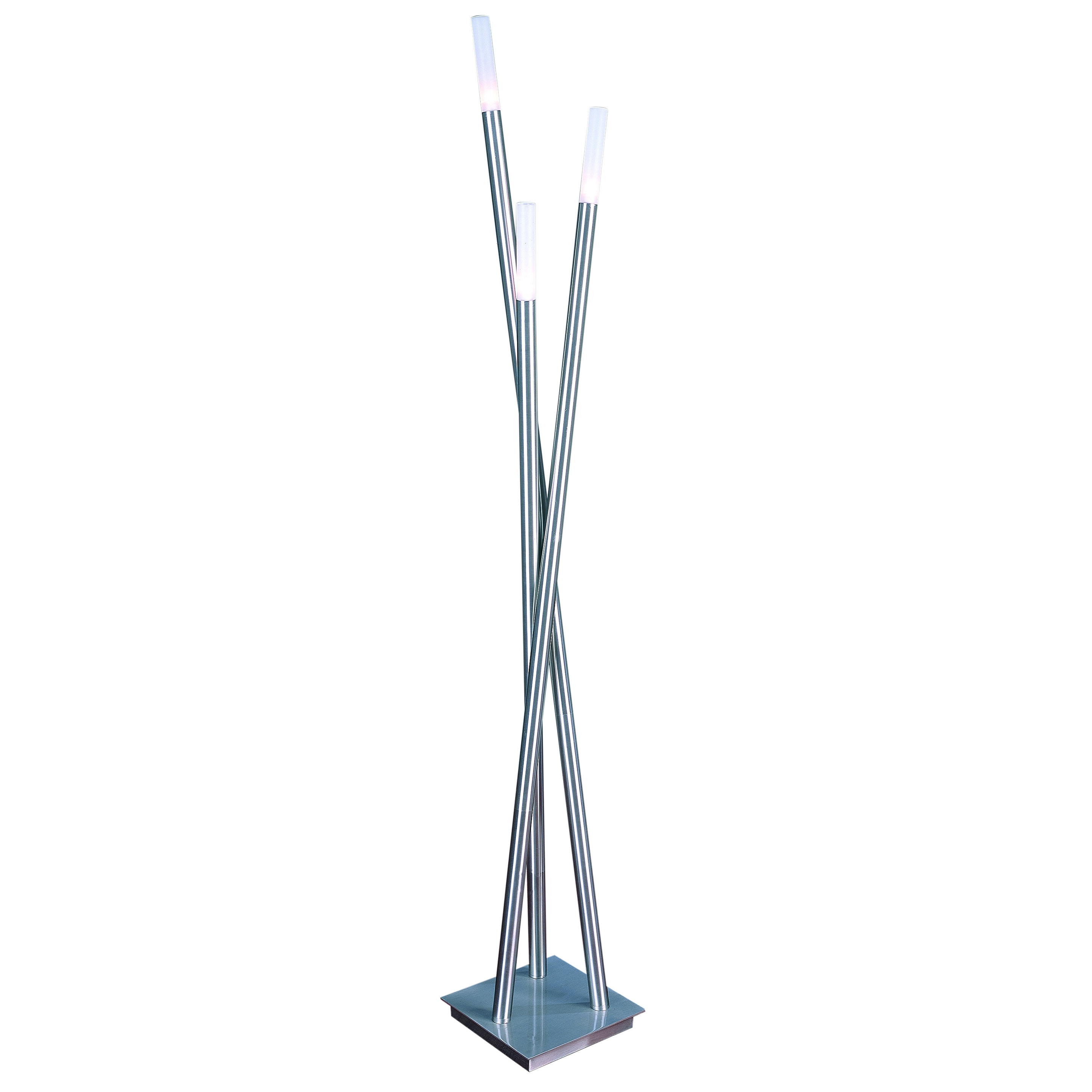 Cavelleto 3 light Brushed Nickel Floor Lamp