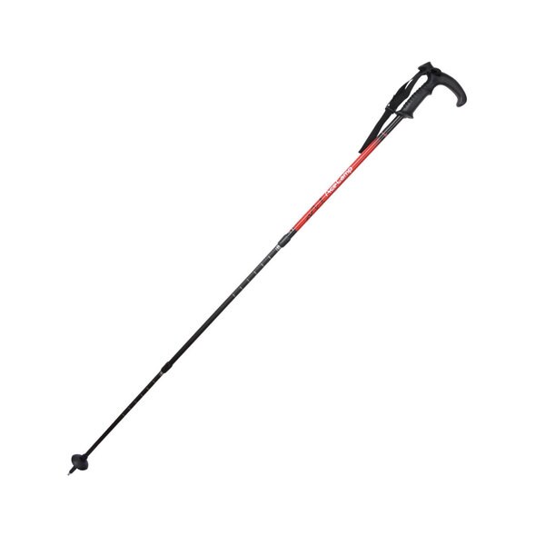 camp trekking pole