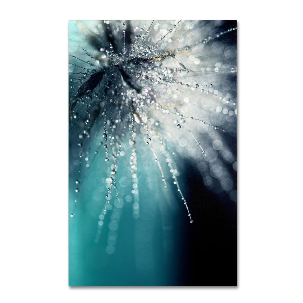 Silver Orchid Crain Beata Czyzowska Young 'Morning Sonata' Canvas Art