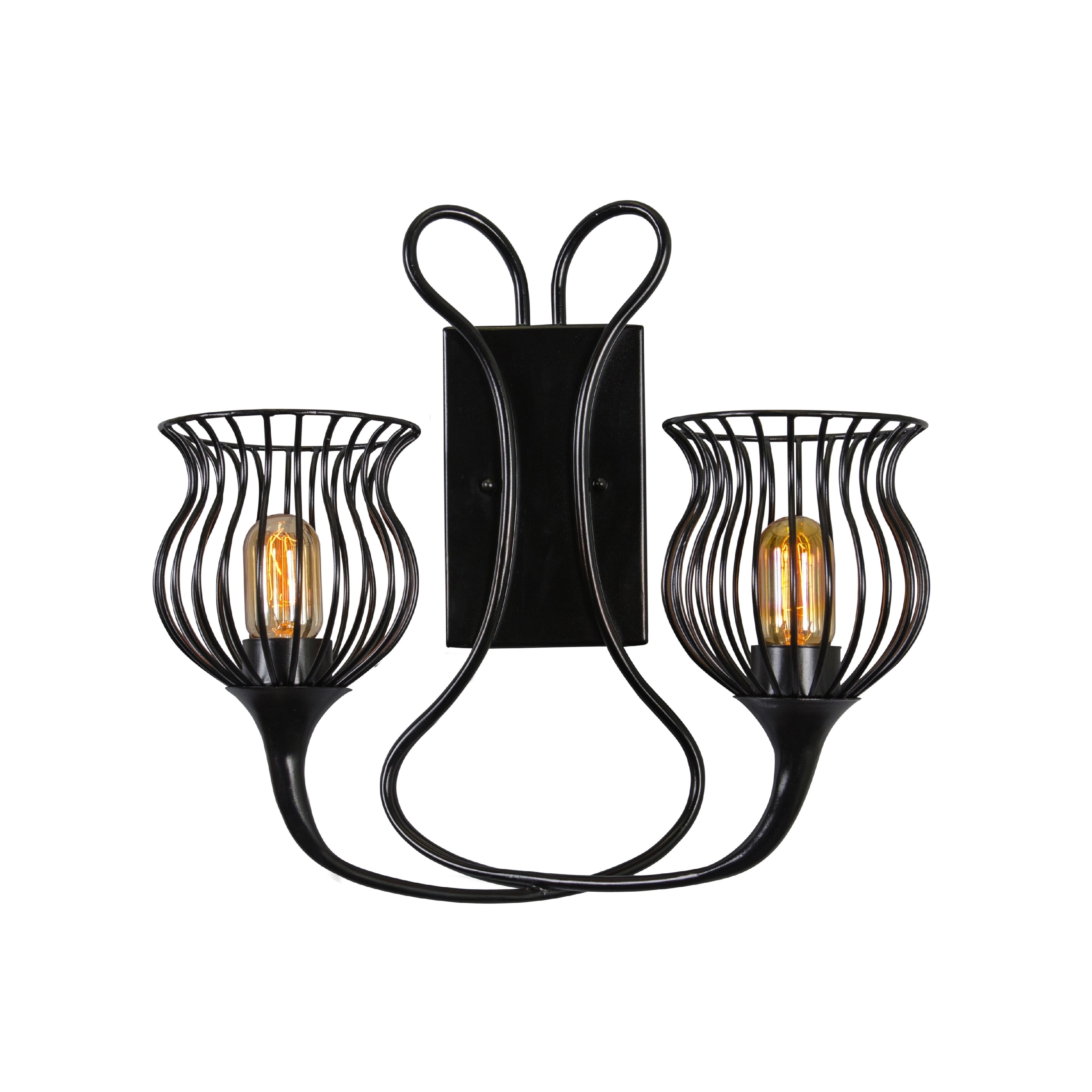 Varaluz Encaged 2 light Black Sconce