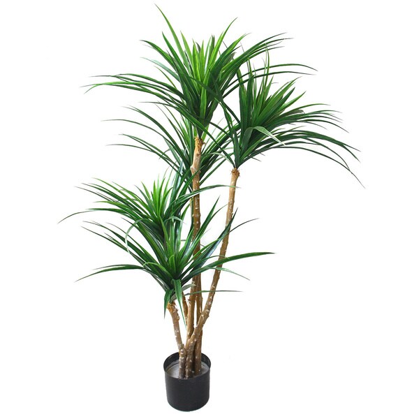 Romano 51-inch Indoor/ Outdoor UV Resistant Tropical Yucana Tree 