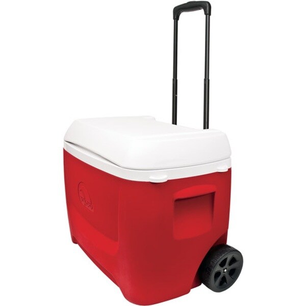 coleman 60 quart