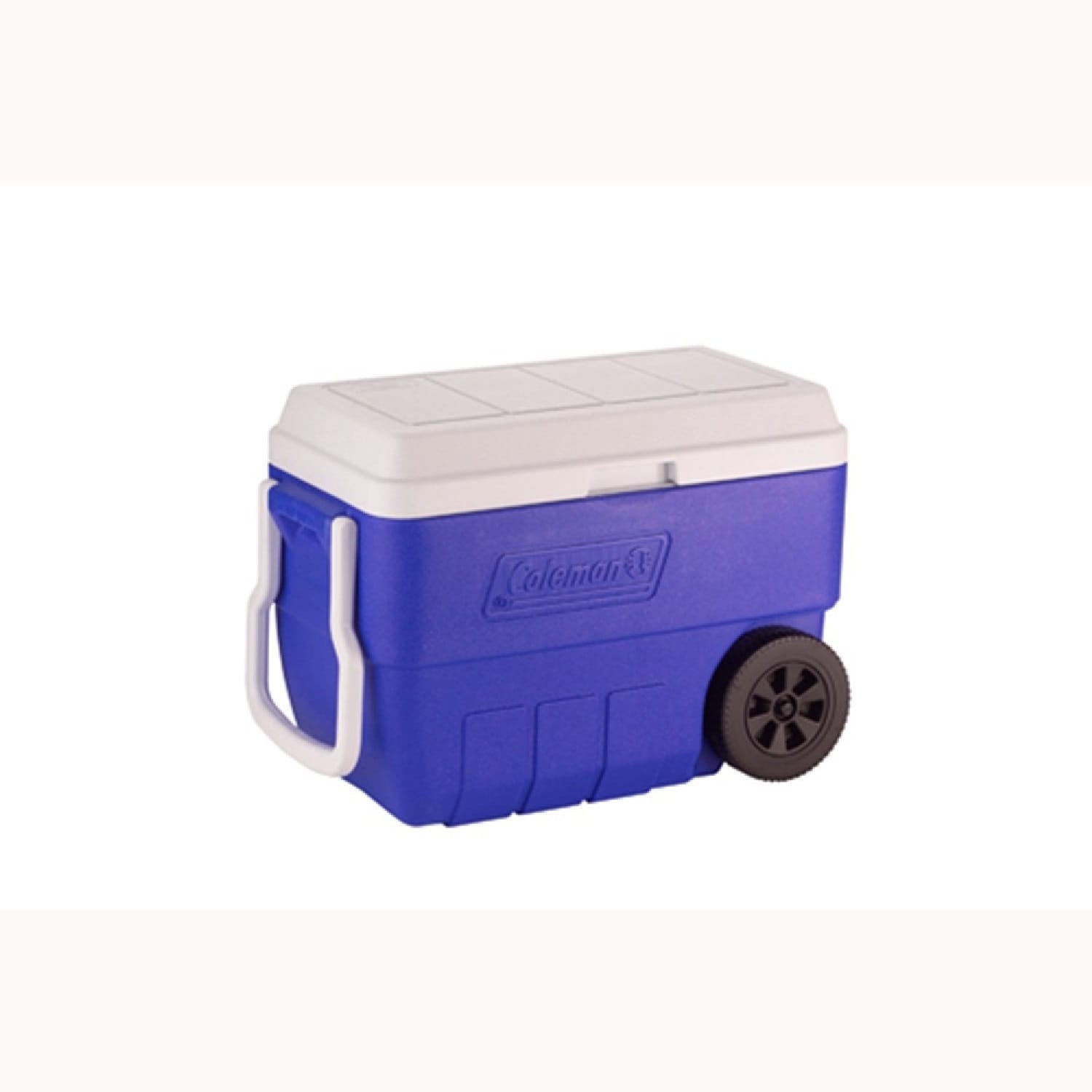 purple coleman cooler