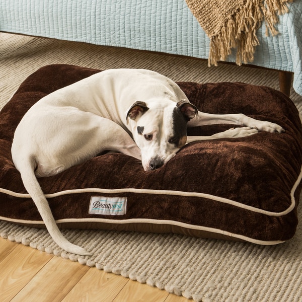 Simmons top dog bed