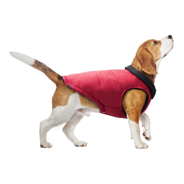 Friends Forever Puffy Pet Vest Pet Apparel