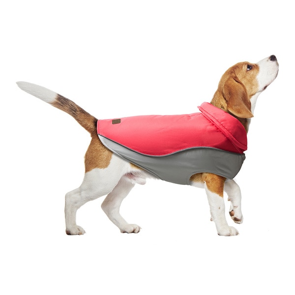 friends forever dog jacket