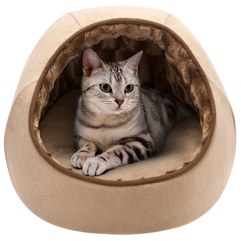 Friends forever clearance pet bed