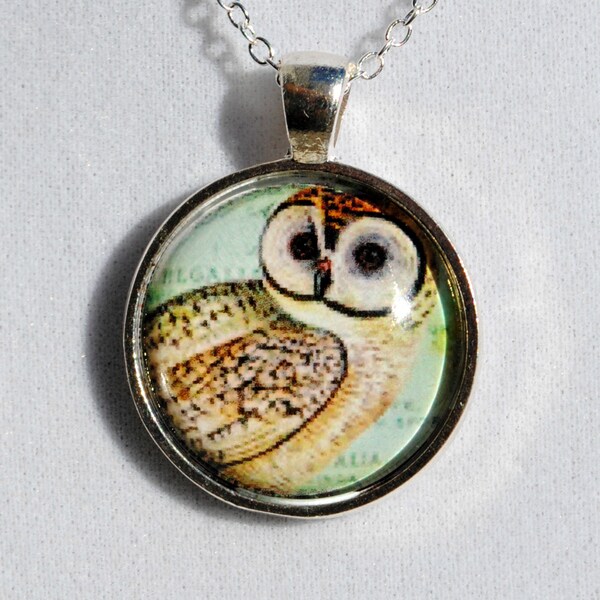 stuffed owl in glass dome