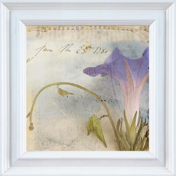 Thea Schrack 'Morning Glory I' Framed Wall Art Framed Art