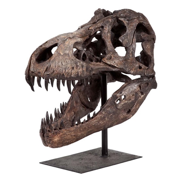 Mercana Mercana Extra Large Resin Tyrannosaurus Skull and Stand