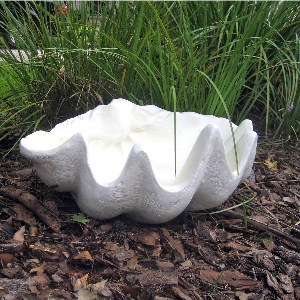 White Garden Clam Shell