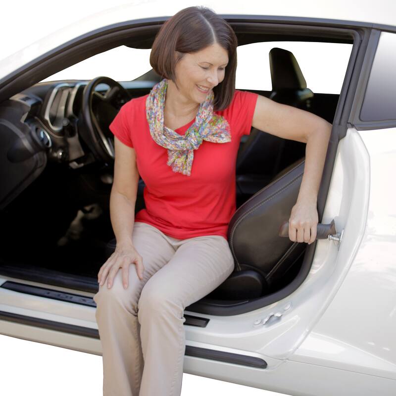 Able Life Auto Assist Grab Bar
