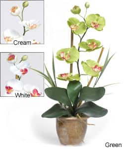 Single-stem Phalaenopsis Silk Orchid Plant - Cream