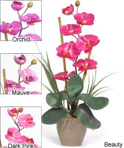 Single-stem Phalaenopsis Silk Orchid Plant - Mauve