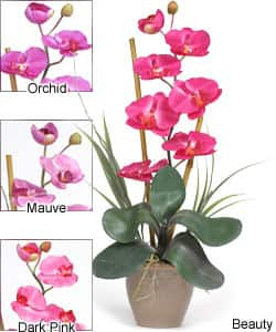 Single-stem Phalaenopsis Silk Orchid Plant - Orchid