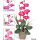 preview thumbnail 3 of 1, Single-stem Phalaenopsis Silk Orchid Plant Mauve