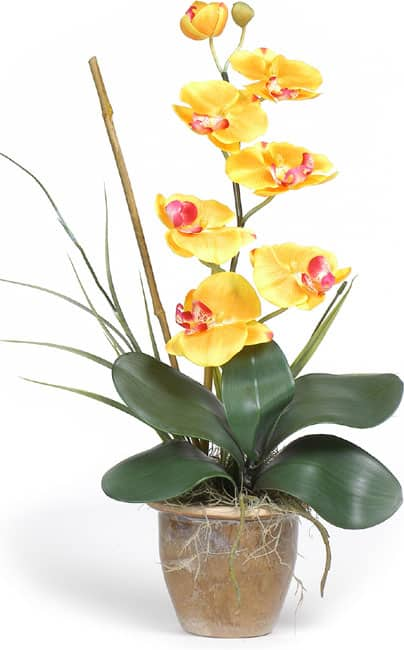 Single-stem Phalaenopsis Silk Orchid Plant - Gold/Yellow