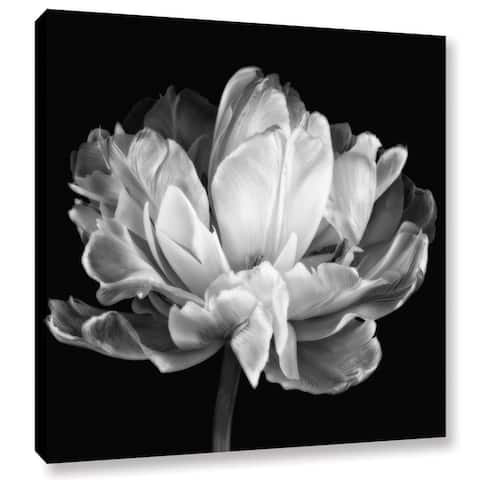 ArtWall Cora Niele 'Tulipa Double Black & White II' Gallery-Wrapped Canvas