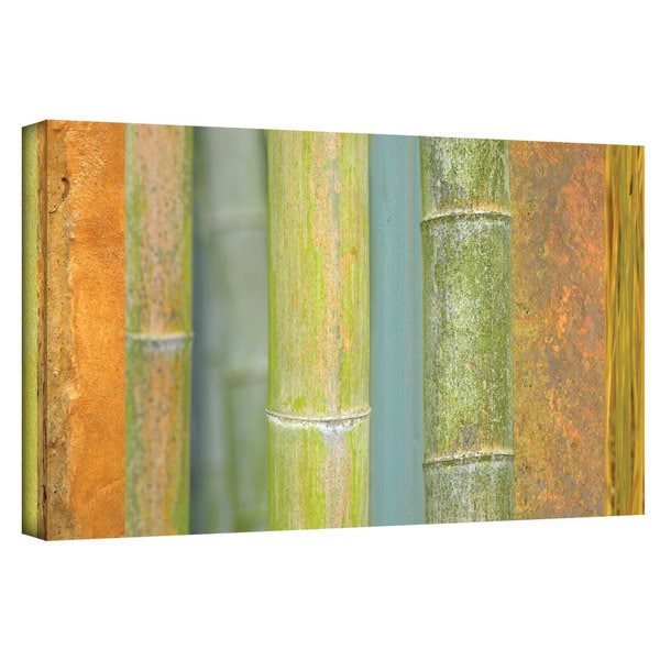 ArtWall Cora Niele Bamboo Green Orange Gallery Wrapped Canvas