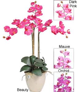 Triple-stem Phalaenopsis Silk Orchid Plant - Mauve