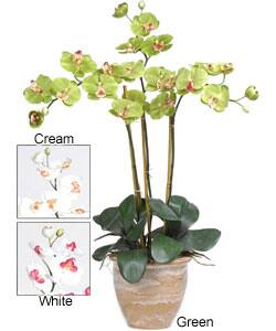 Triple-stem Phalaenopsis Silk Orchid Plant - On Sale - Bed Bath ...