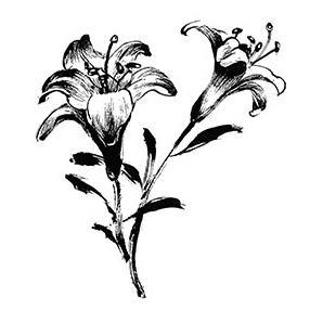 Penny Black Mounted Rubber Stamp 3.5 X4   Brush Lilies