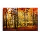 preview thumbnail 1 of 1, Philippe Sainte-Laudy 'Brilliant Fall Color' Canvas Art