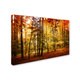 preview thumbnail 2 of 1, Philippe Sainte-Laudy 'Brilliant Fall Color' Canvas Art