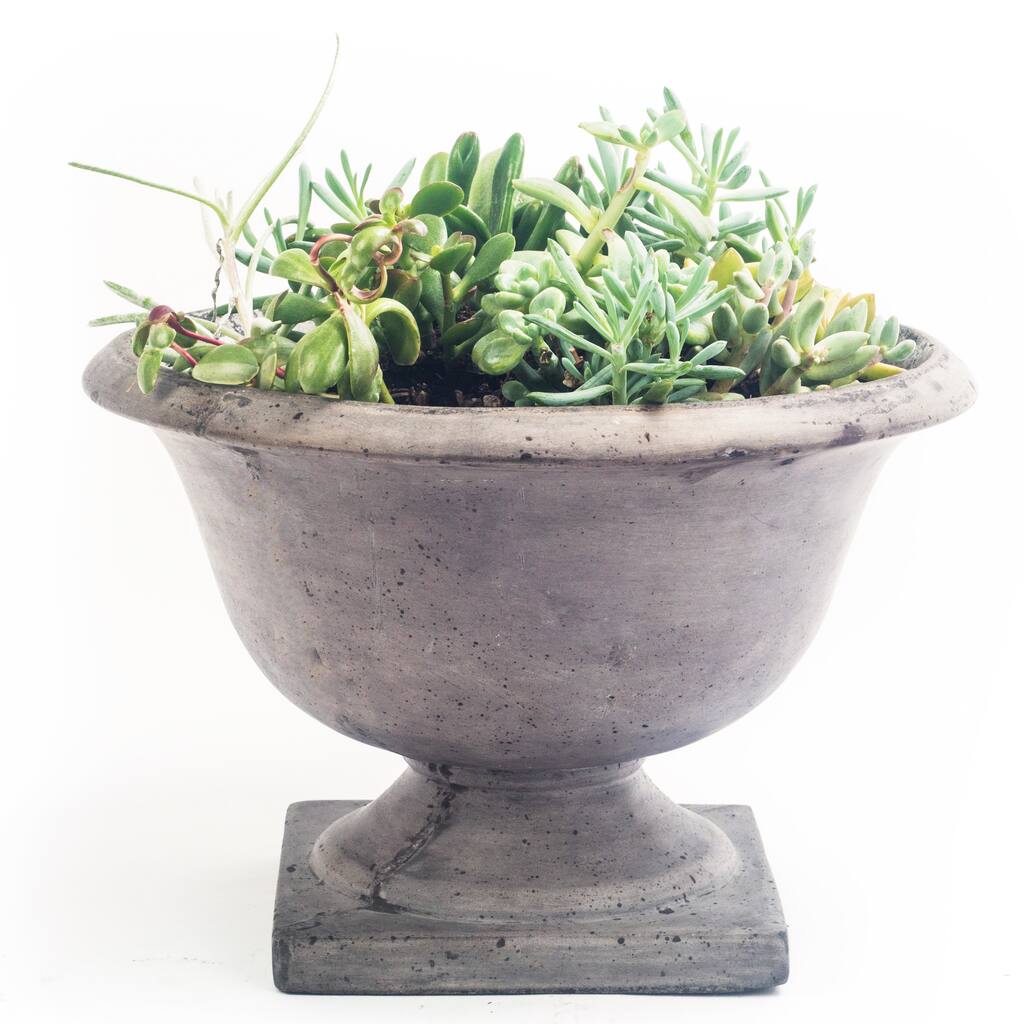Handmade Eco-friendly Concrete Campagna Decorative Planter (Vietnam)