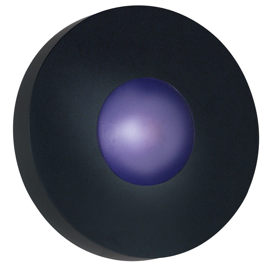 Dalya Large Round 1 light Black Sconce/ Flush Mount