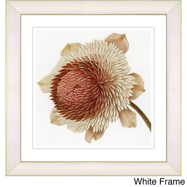 Zhee Singer 'Vintage Botanical No 20c - White' Framed Fine Art Print