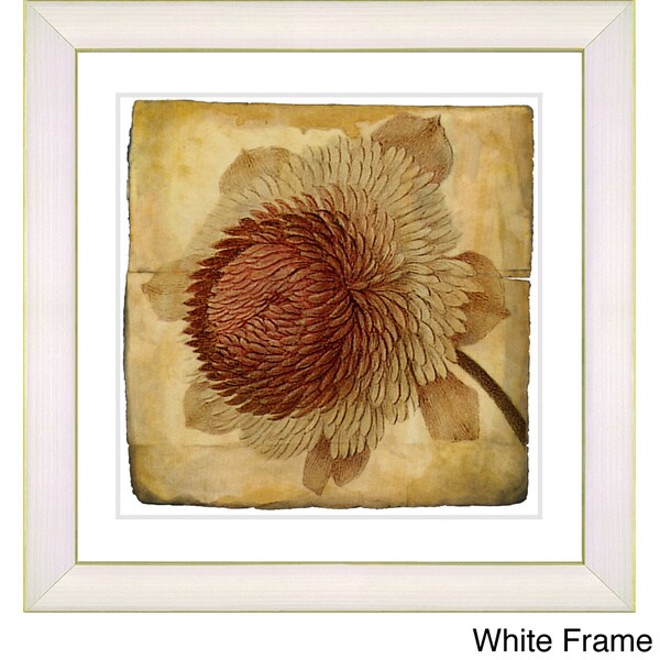 Zhee Singer 'Vintage Botanical No 20c - Antiqued' Framed Fine Art Print