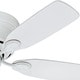 preview thumbnail 14 of 14, Hunter 42" Flush Mount Ceiling Fan with Pull Chains - Traditional - Low Profile!