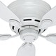 preview thumbnail 10 of 14, Hunter 42" Flush Mount Ceiling Fan with Pull Chains - Traditional - Low Profile!
