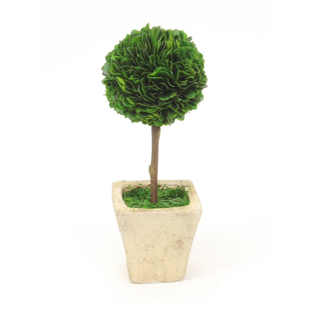 Small 10.5 inch Boxwood Topiary