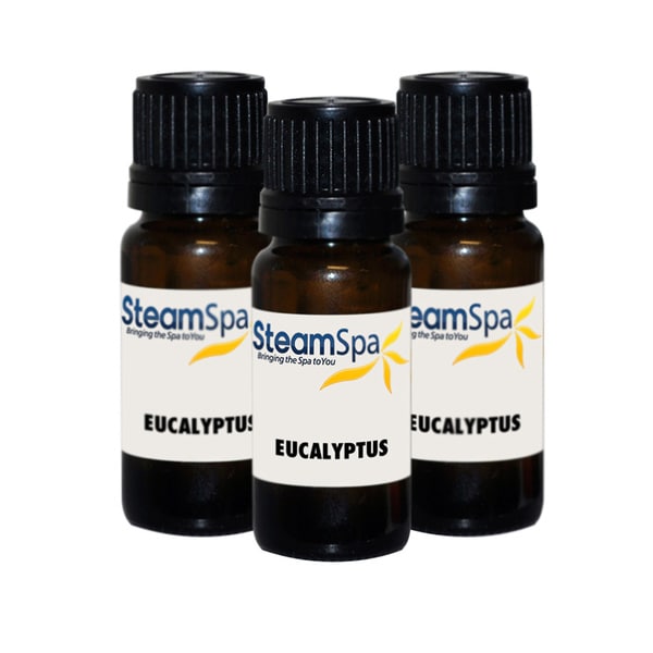 SteamSpa Essence of Eucalyptus Value Pack   16145421  