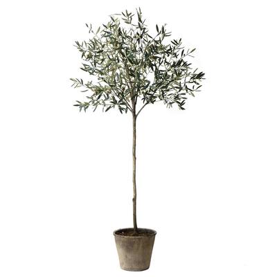 Sage & Co Tall Green Olive Tree with Pot