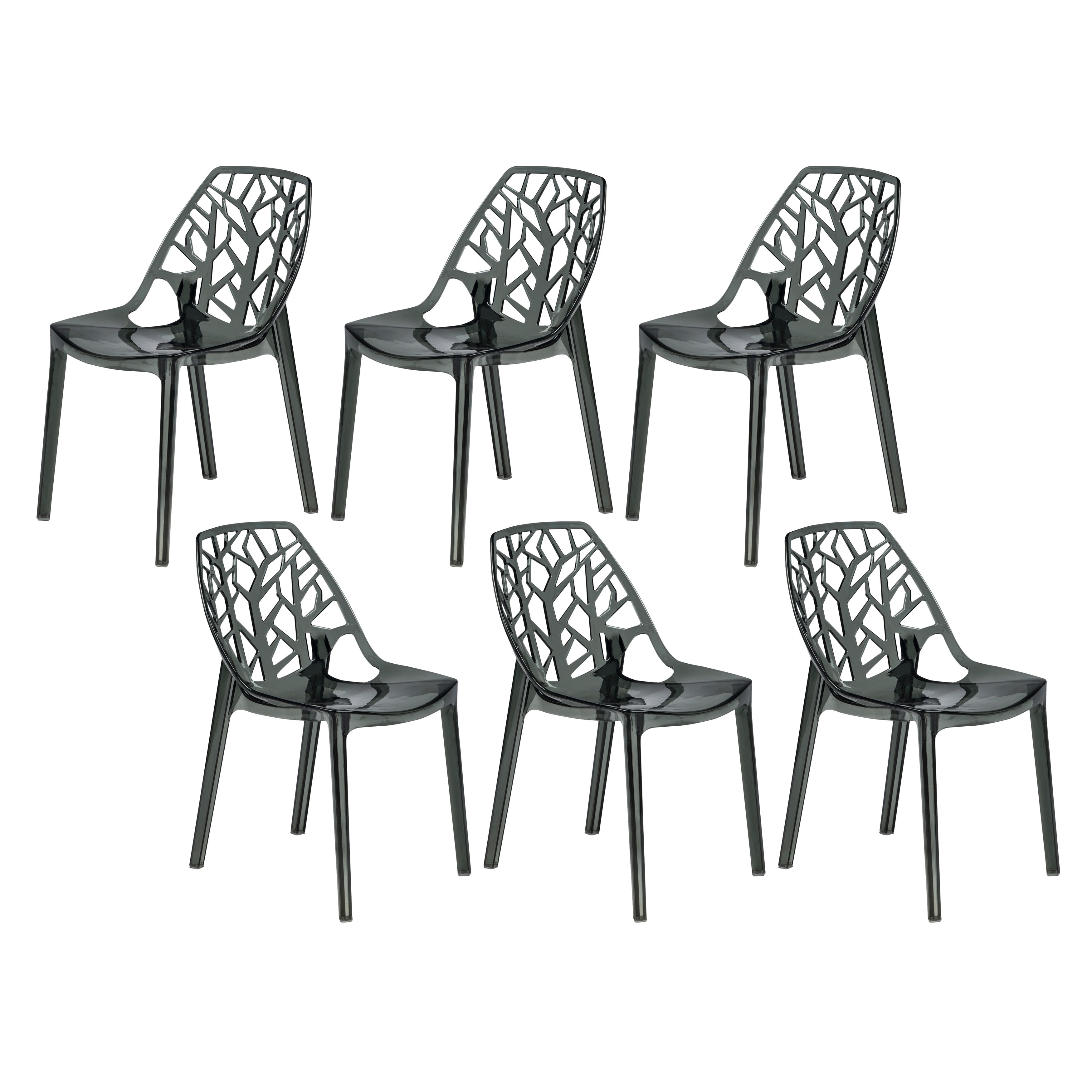 Modern Flora Transparent Black Plastic Dining Chair (set Of 6)