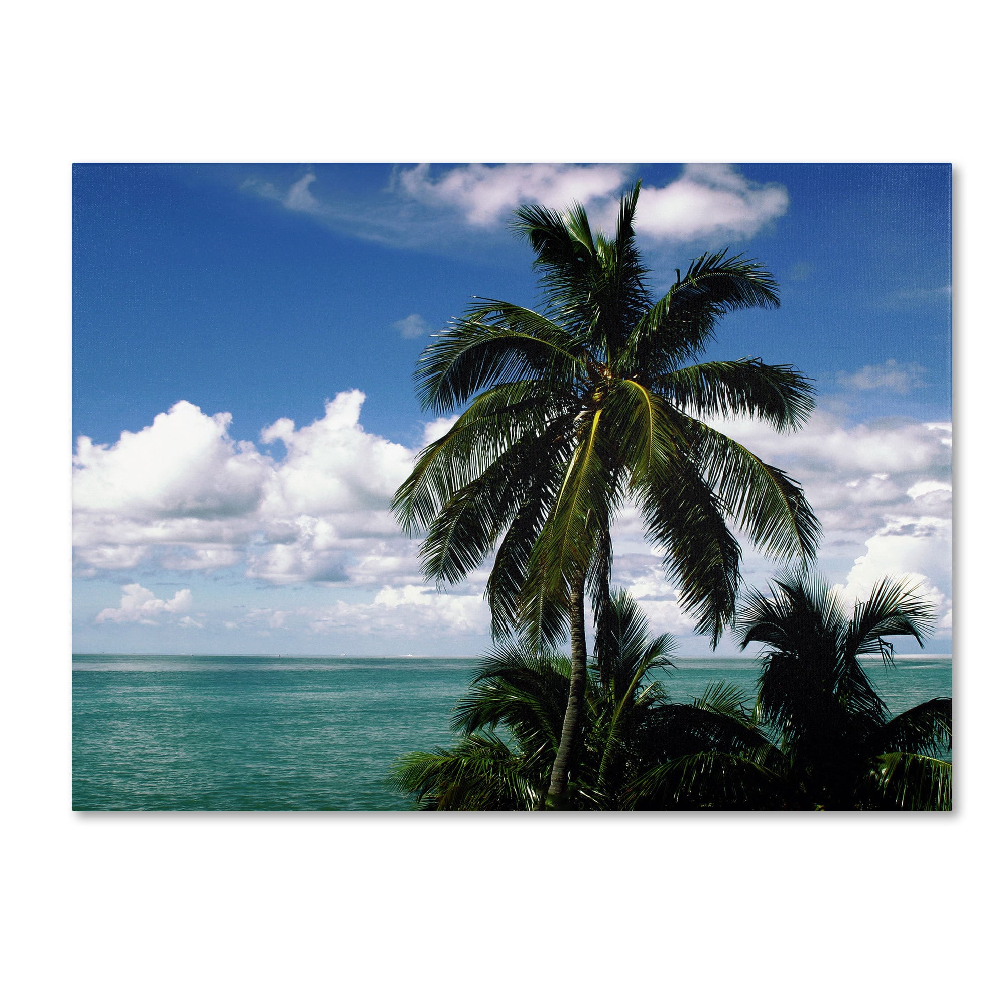 Tony Scullin Palm Sea Canvas Art