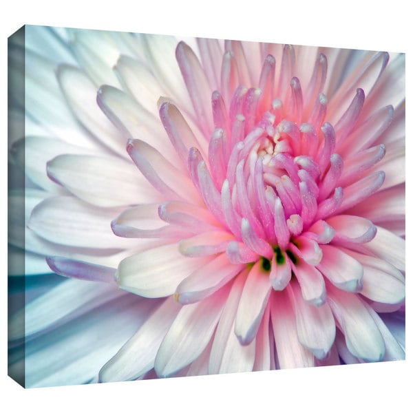 ArtWall David Liam Kyle Flower Macro Gallery Wrapped Canvas