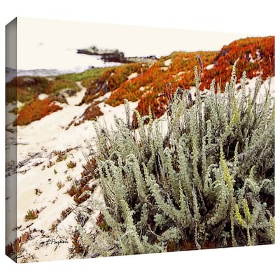 ArtWall Linda Parker 'Red Ice on Beach III' Gallery-Wrapped Canvas - Multi