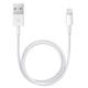 Apple Lightning USB Cable for iPhone 8 / 8 Plus/ 7/ 7 Plus/ 6S/ 6S Plus/ 6/ 6 Plus/ iPad/ iPod (Bulk Packaging) - Thumbnail 3