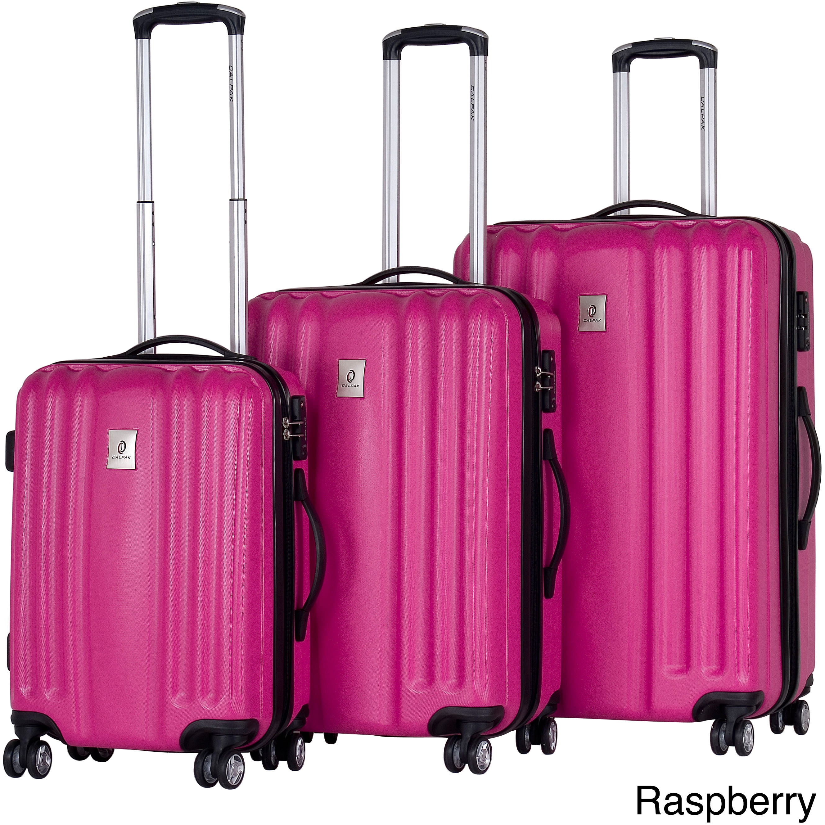 calpak luggage 24 inch