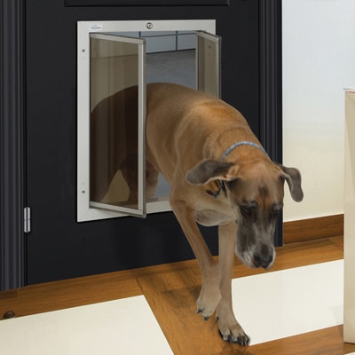 plexi dog door