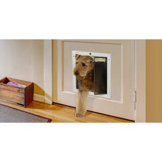 Shop Plexidor Performance Pet Door Large Door Mount Free